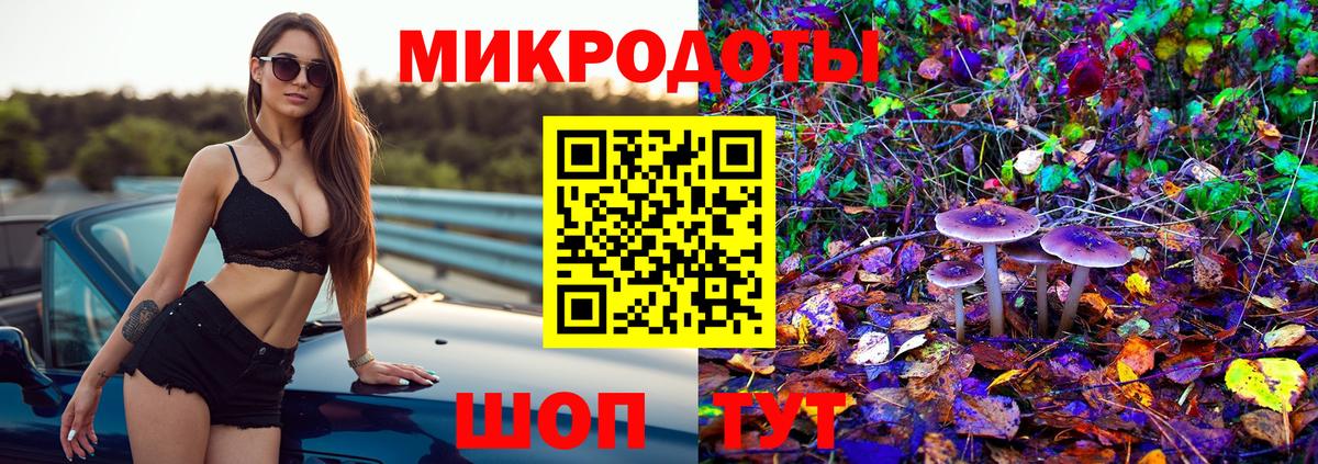 Псилоцибиновые грибы Cubensis Ижевск