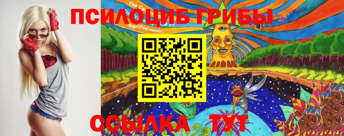 Псилоцибиновые грибы ЛСД  Вход с VPN  Ижевск  Псилоцибиновые грибы Cubensis 